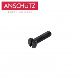 Anschutz Countersunk Oval Head Screw ISO 2010 - M4 x 18