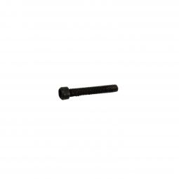 Sig Sauer P365XL Sight Assembly Screw