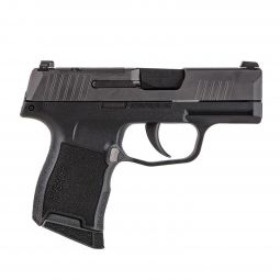 Sig Sauer P365 Pistol, 380 ACP, (2) 10 Round Mags