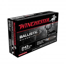 Winchester Ballistic Silvertip 243 Win 95gr. Ammunition, 20 Round Box