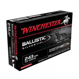 Winchester Ballistic Silvertip 243 Win 55gr. Ammunition, 20 Round Box