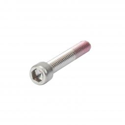 Sig Sauer P365XL Sight Assembly Screw