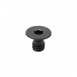 Winchester Wildcat Front Sight Retaining Screw