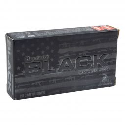 Hornady BLACK 300 Blackout 110gr. NTX, 20 Round Box