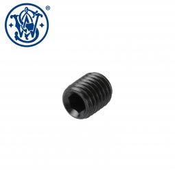 Smith & Wesson SW22 Victory Barrel Retaining Screw