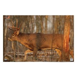 Birchwood Casey EZE-SCORER 23"x35" Whitetail Deer Paper Target, 2 Pack