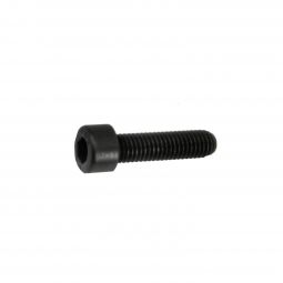 Beretta ARX 160/22 Grip Screw