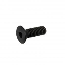 Beretta ARX 160/22 Side Rail Screw