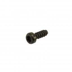 Beretta ARX 160/22 Screw, 30x8