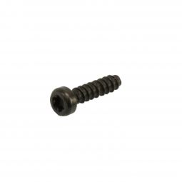 Beretta ARX 160/22 Screw, 30x14