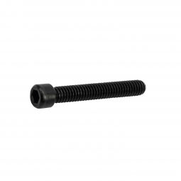 Ruger 10/22 Barrel Retainer Screw