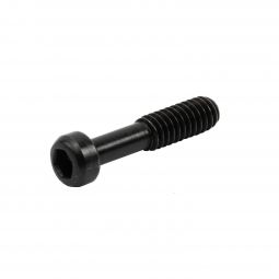 Ruger 10/22 Takedown Screw