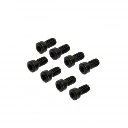 Ruger 10/22 Scope Ring Screws, Blued