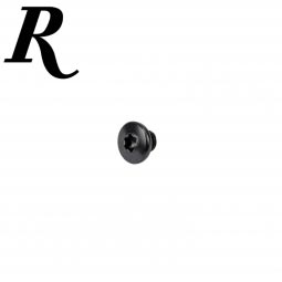 Remington R51 Grip Screw