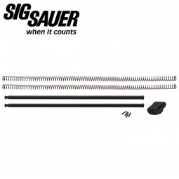 Sig Sauer MCX Operating Springs Kit