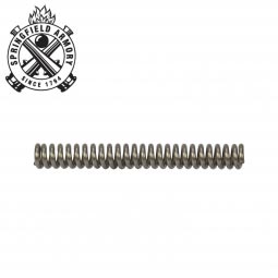 Springfield Armory 911 .380 ACP Mainspring