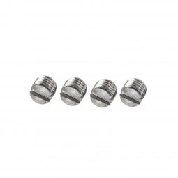 Ruger 10/22 Scope Base Filler Screws, Stainless