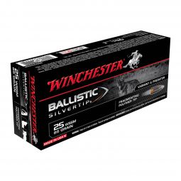 Winchester 25 WSSM 85gr. Ballistic Silvertip Ammunition, 20 Round Box