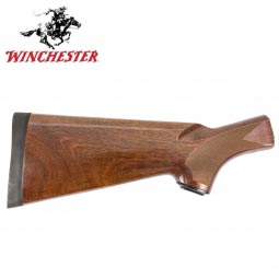 Winchester SX2 Field Stock, Gloss