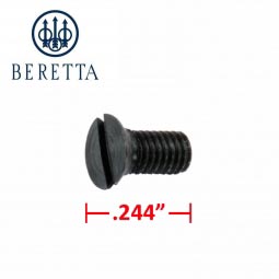 Beretta 1873 Renegade Protection Running Screw