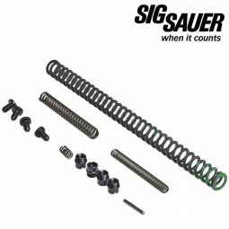 Sig Sauer 1911 45 ACP Parts Kit