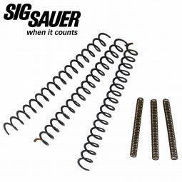 Sig Sauer P238 Recoil and Firing Pin Spring Set