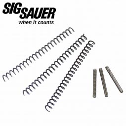 Sig Sauer P938 Recoil and Firing Pin Spring Set