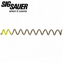 Sig Sauer P228 / P229 40 & 357 Recoil Spring, ICE Use Only