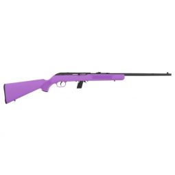 SAVAGE 64F 22LR 21" BBL, BLUED/PURPLE SYNTHETIC