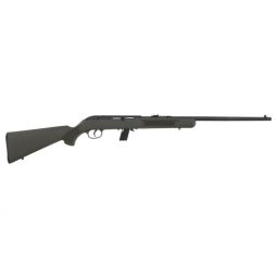 SAVAGE 64F 22LR 21" BBL, BLUED/GREEN SYNTHETIC