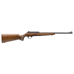 WINCHESTER WILDCAT SPORTER, 22LR 18" WOOD/BLUED W/RAIL